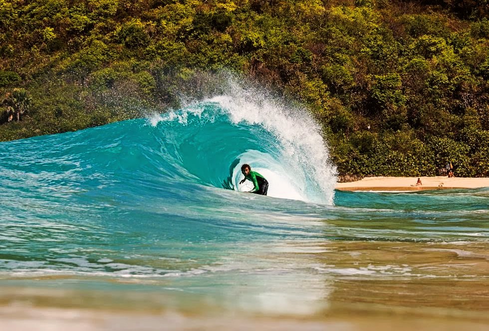 Onda tubular quebrando junto a uma praia de vegetação nativa